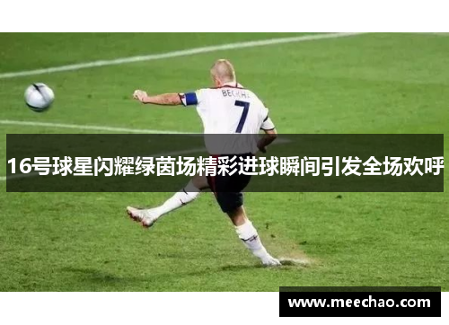 16号球星闪耀绿茵场精彩进球瞬间引发全场欢呼