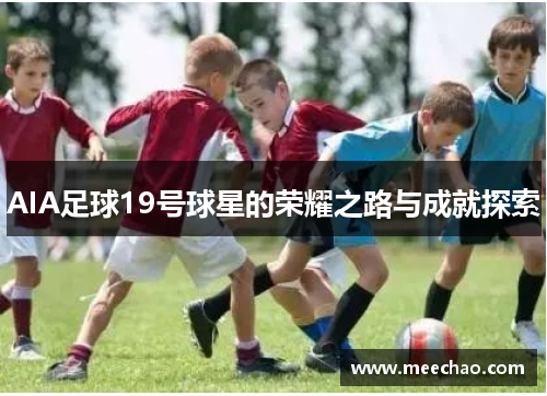 AIA足球19号球星的荣耀之路与成就探索