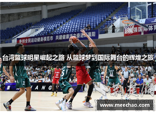 台湾篮球明星崛起之路 从篮球梦到国际舞台的辉煌之旅