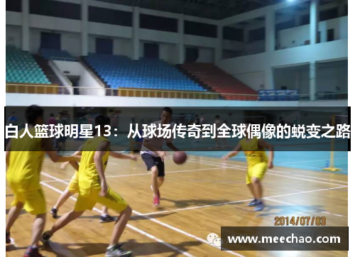白人篮球明星13：从球场传奇到全球偶像的蜕变之路